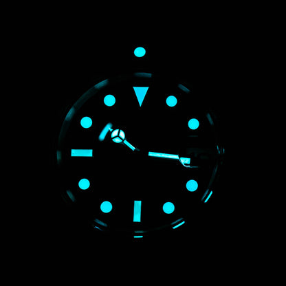 Seestern SE116660